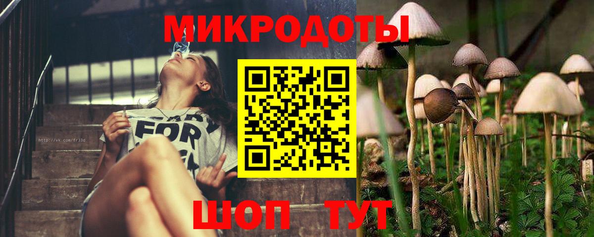 Галлюциногенные грибы мицелий Сарапул